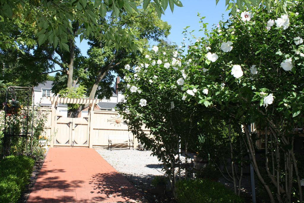 Schoolmaster's House 3*